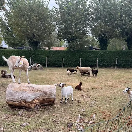 Zecamping 4 Etoiles - A 900 M - Chic Et Charme Confort Saint-Jean-de-Monts